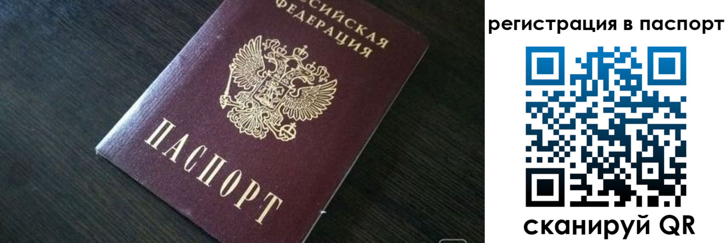 прописка в квартире в Белой Калитве